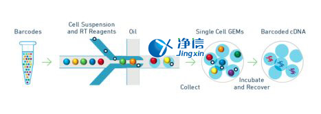 中國人自己的微流控單細(xì)胞測序儀來了！_微流控Drop-seq,微流控技術(shù)