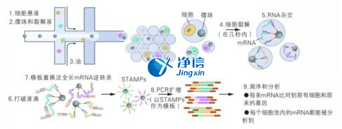 中國人自己的微流控單細(xì)胞測序儀來了！_微流控Drop-seq